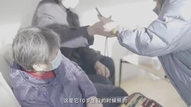 自由职业什么意思啊（就业方式自由职业什么意思）