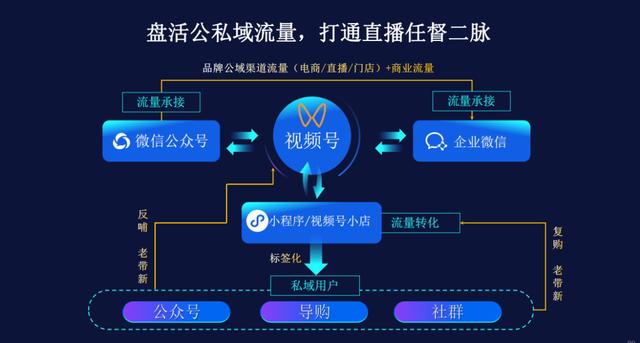 微信视频号美妆品牌的典型模型与打法