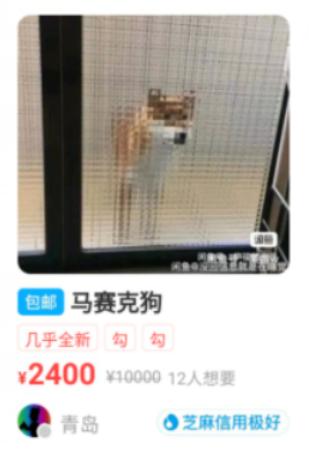 拼多多表情包对不起我们不认识，拼多多表情包对不起我们不认识动图？