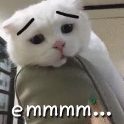 什么样的销售工作最好，为什么适合做销售工作？