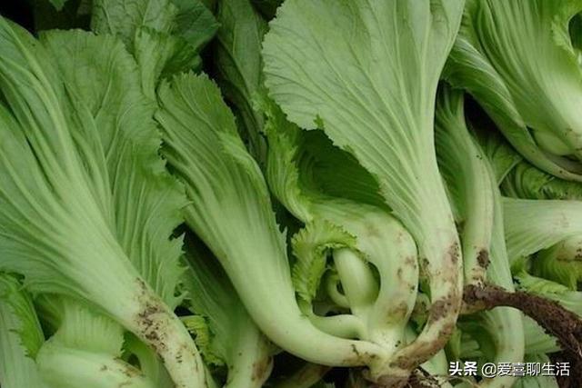 u钙网logo设计免费（u钙网logo设计）