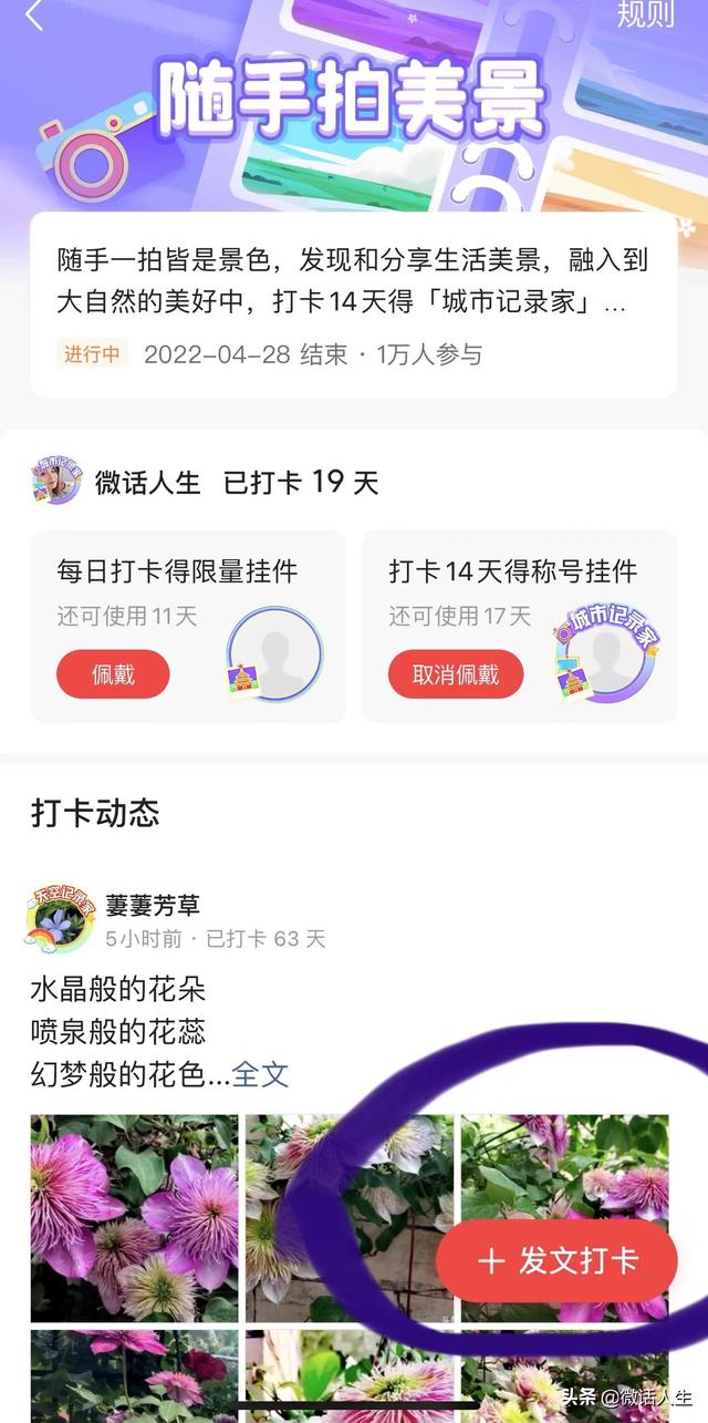 块钱买1000粉丝，一块钱买100粉丝？"