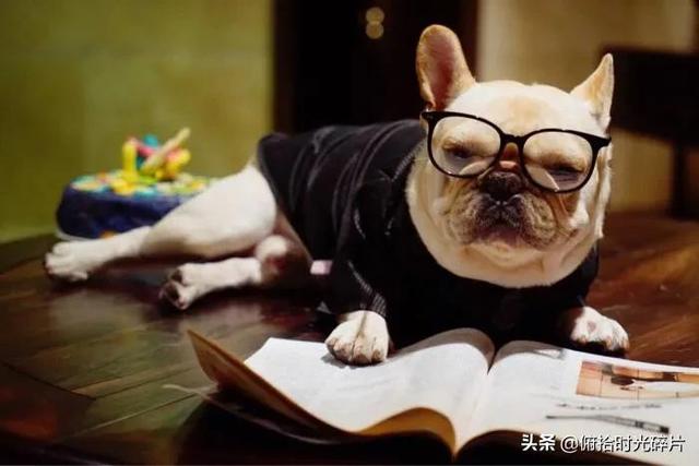 快手免费挂官方小黄车是真的吗，快手免费挂官方小黄车是真的吗吗？