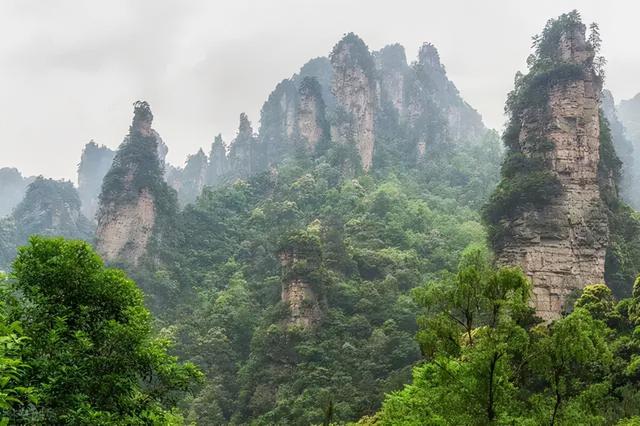 微信头像山水画最旺财的图片，微信头像山水画最旺财的图片下载
