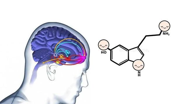 南抖音北快手下一句是什么，南抖音北快手下一句是什么_智障界的两泰斗？