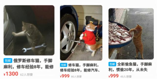 拼多多表情包对不起我们不认识，拼多多表情包对不起我们不认识动图？