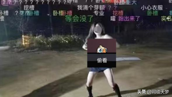 b站新月岚直播事故视频，b站新月岚直播翻车现场？