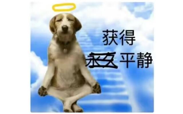抖音电脑直播需要什么配置，抖音直播电脑配置需要很高吗？