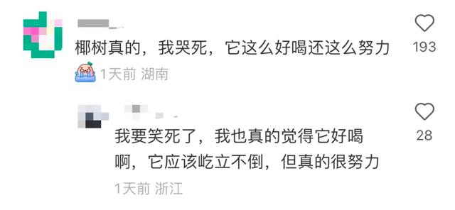 美女变猛男，椰树的土味直播间，为什么让人上头？
